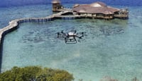 Restoring Tranquility to Paradise: Inside the Latest Pest Control Project Using DJI’s Spraying Drones